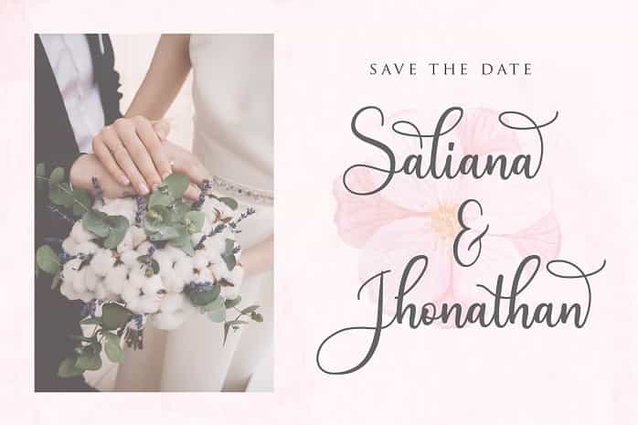 Andina Script Font Image 2