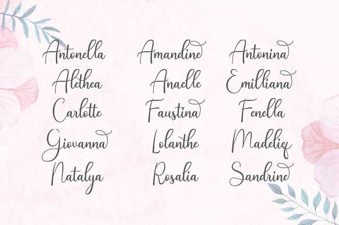 Andina Script Font Image 3
