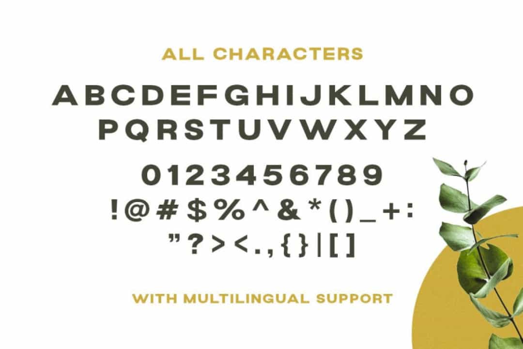 Grand Wilson Font Image 3
