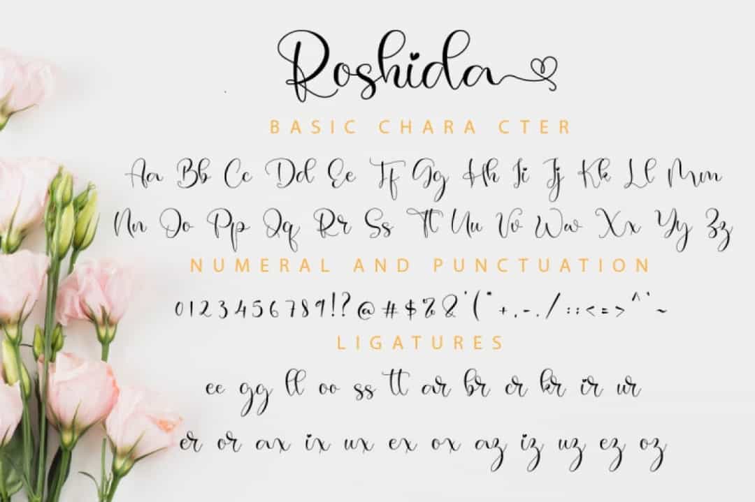 Roshida Font Image 3