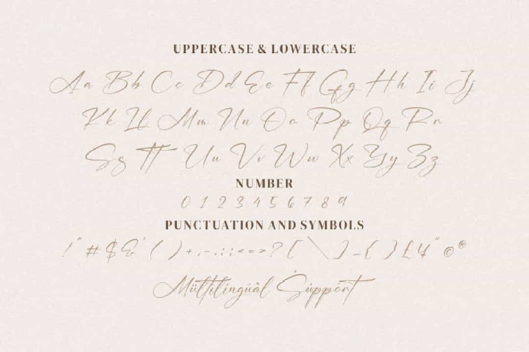 William Narasi Font Image 3