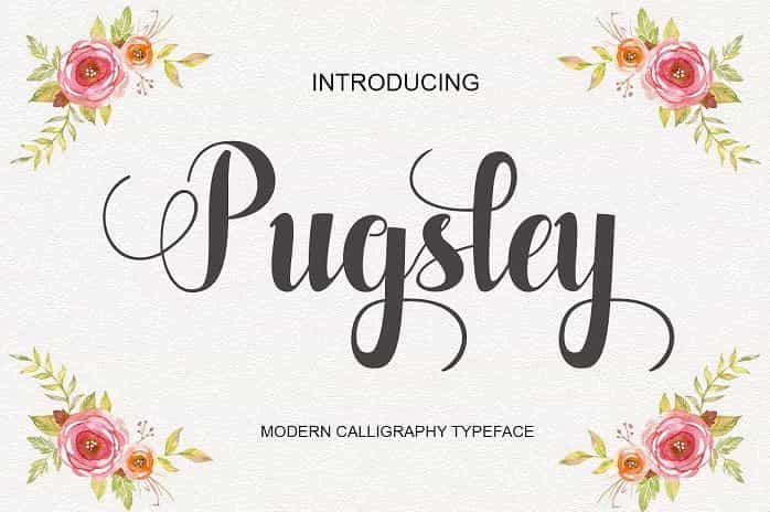 Pugsley Script Font Image 1