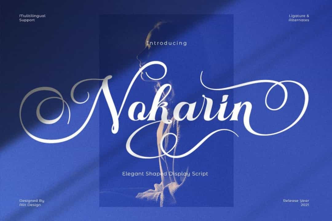 Nokarin Font Image 1