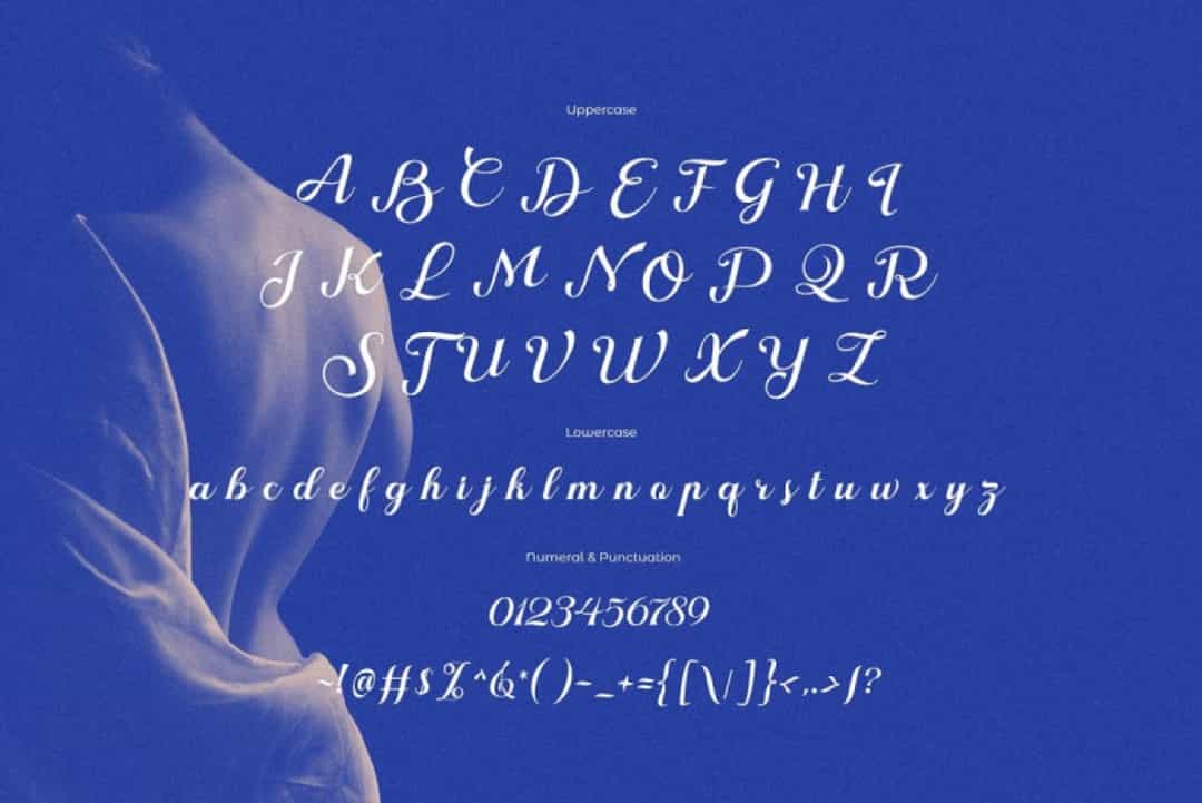 Nokarin Font Image 3