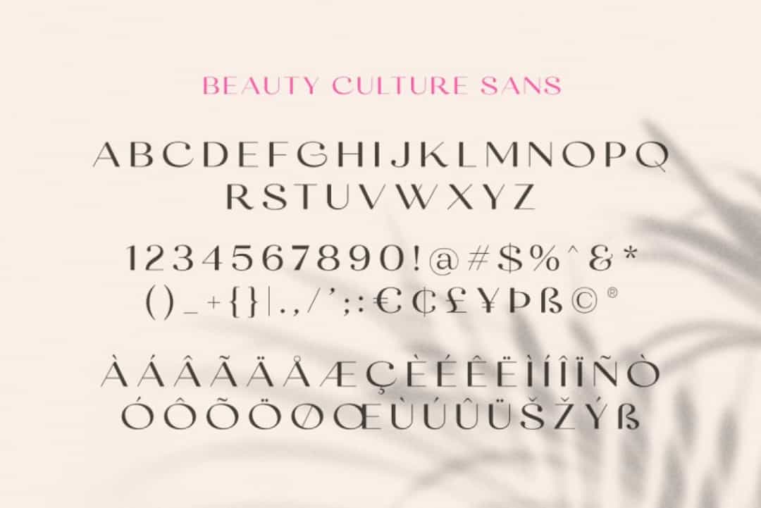 Beauty Culture Font Image 3