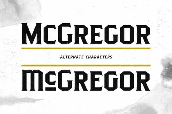 Pittsbrook Serif Typeface Image 2