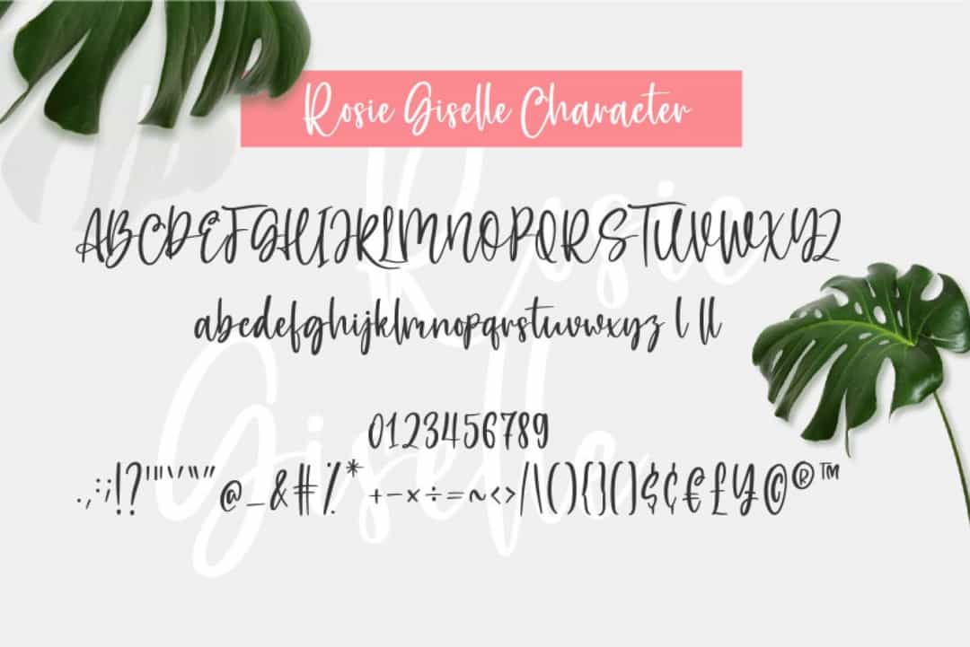 Rosie Giselle Font Image 3