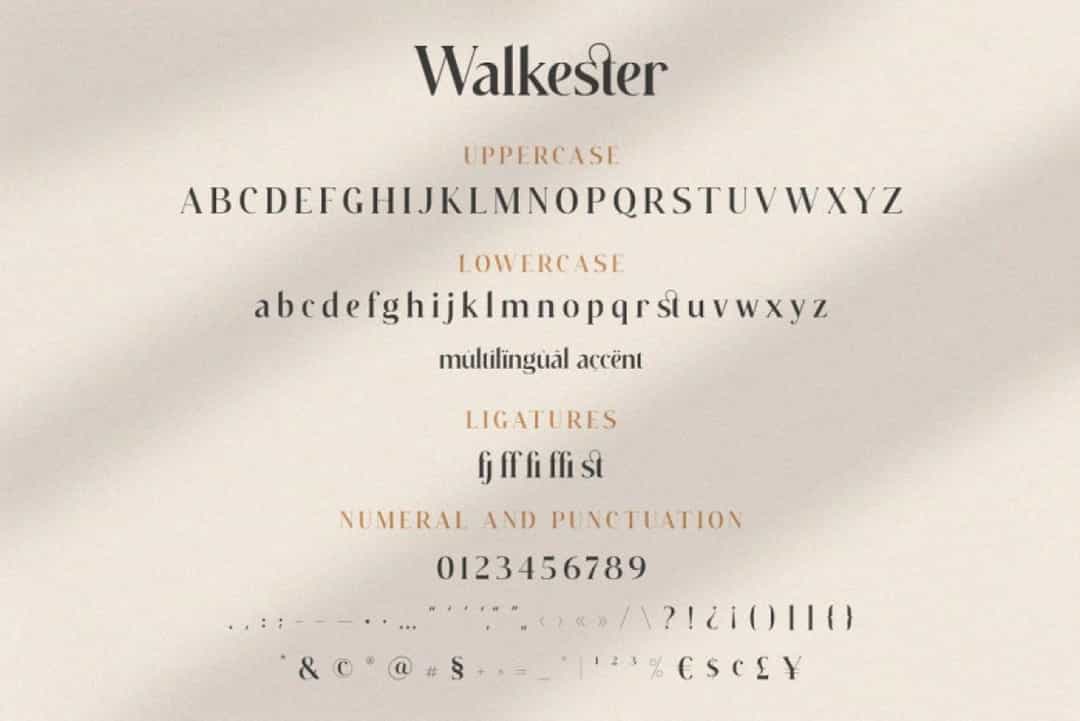 Walkester Font Image 3