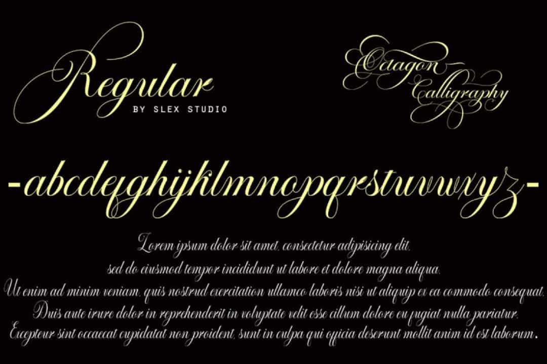 Octagon Calligraphy Font Image 3