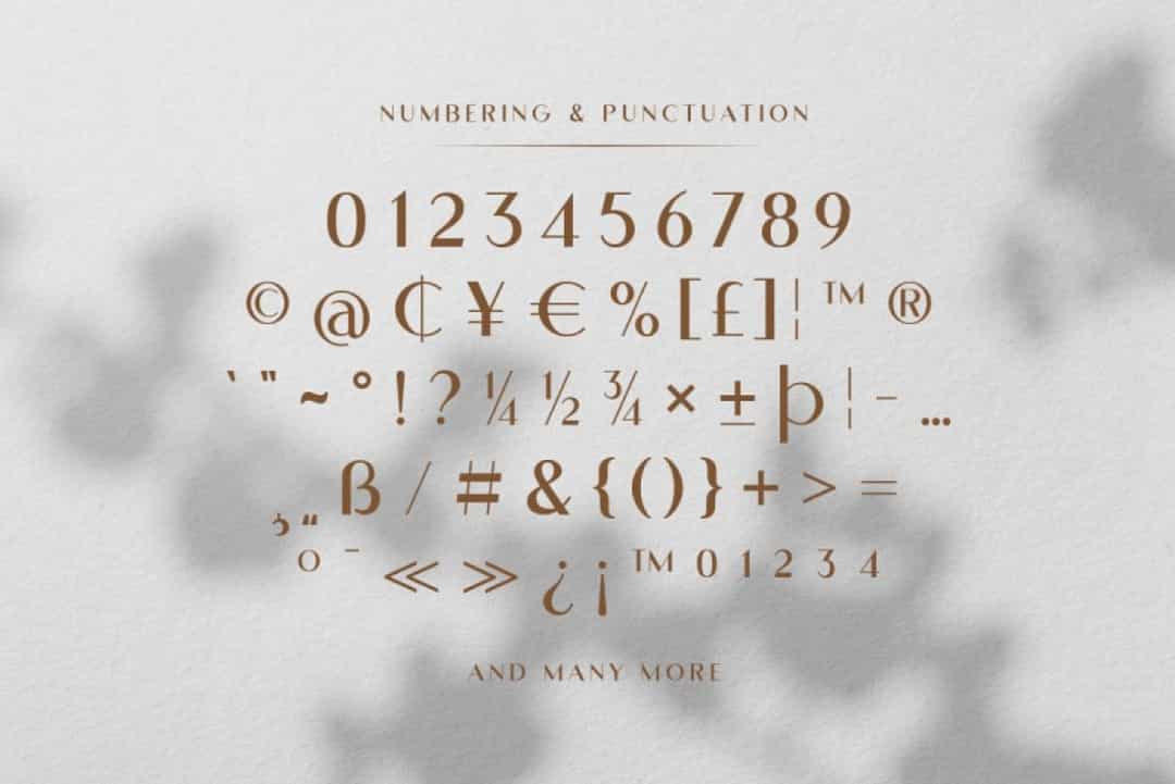 Abigral Font Image 3