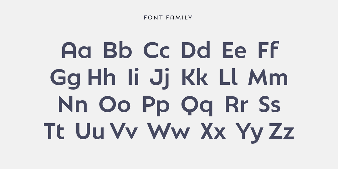 Natom Pro Font Family Image 3