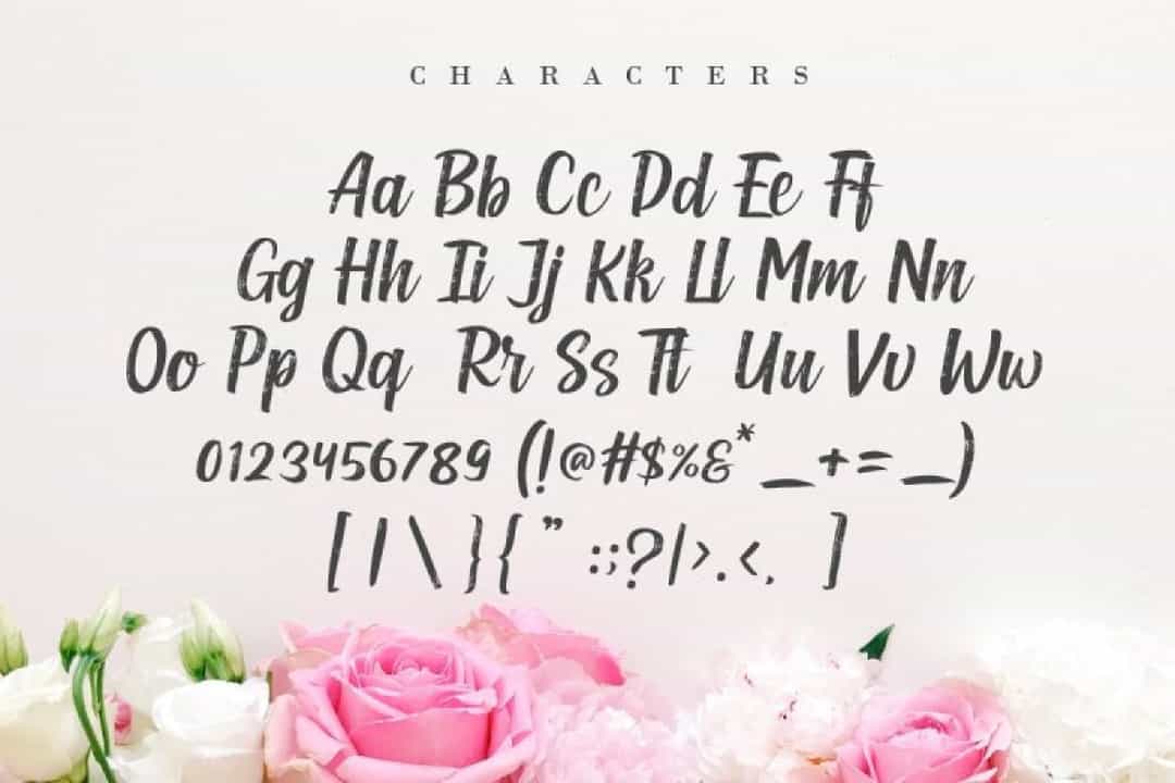 Heyladish Font Image 3