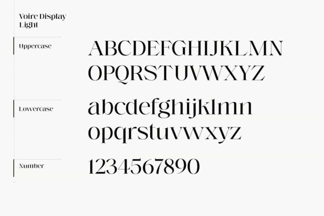 Voire Serif Font Family Image 3