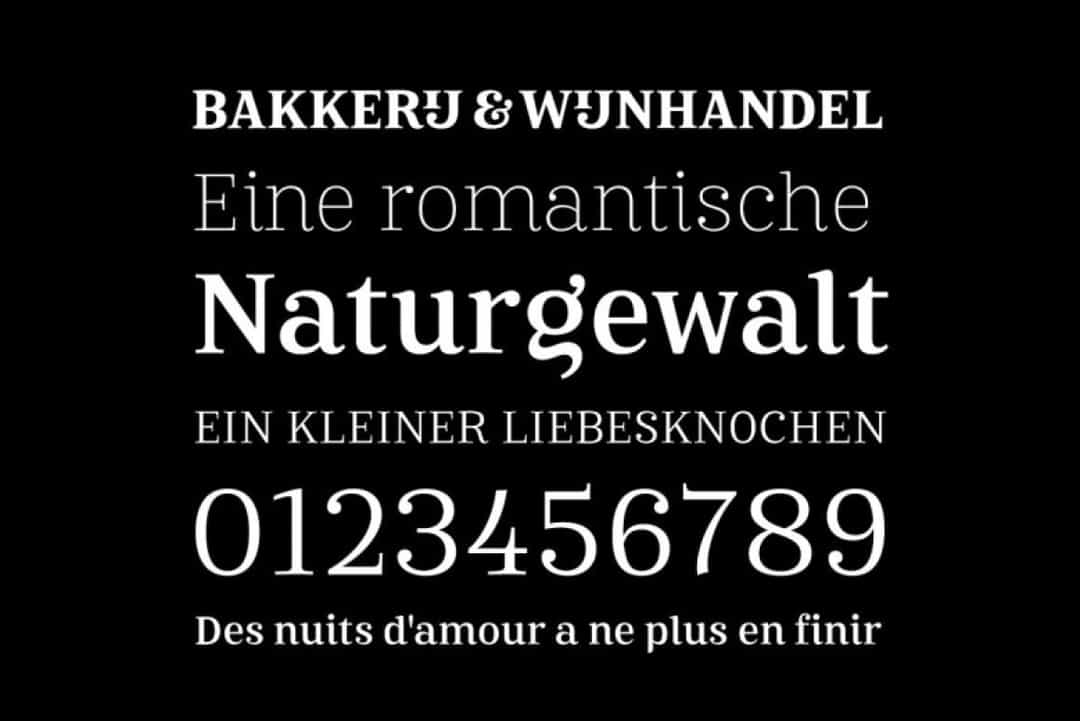 Mireille Font Family Image 2