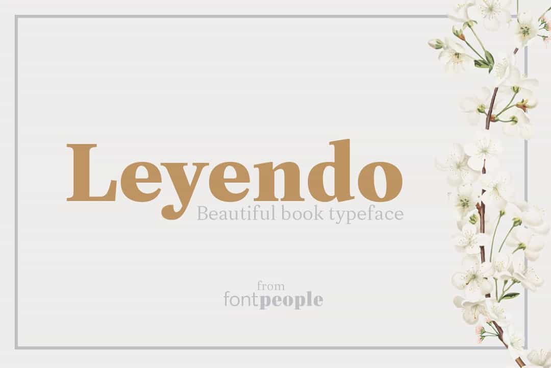 Leyendo Font Image 1