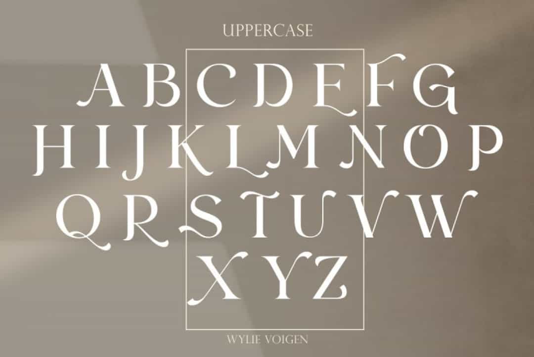 Wylie Voigen Font Image 2