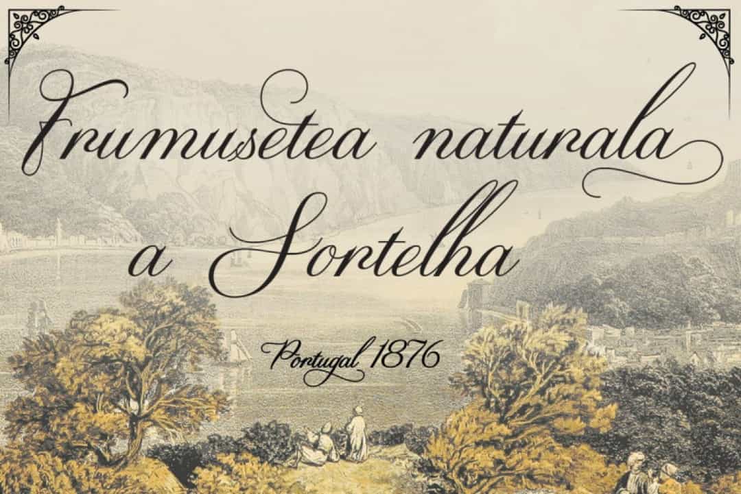Garlicha Font Image 2
