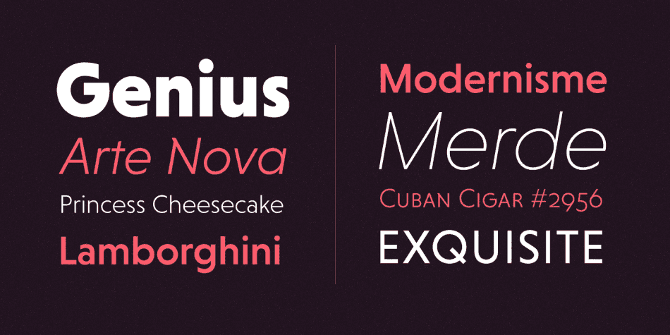 Niveau Grotesk Font Image 2