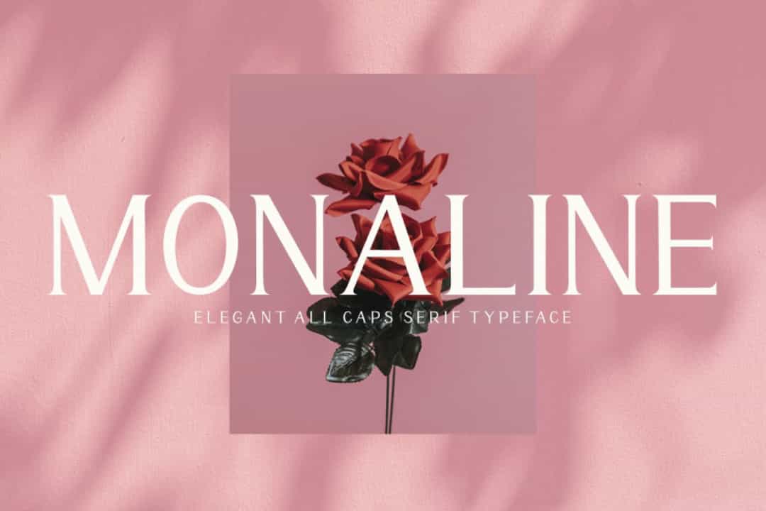 Monaline Font Image 1