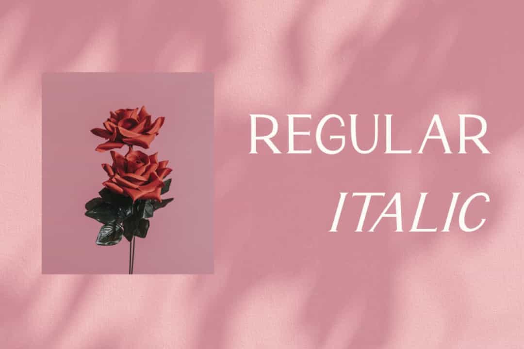 Monaline Font Image 2