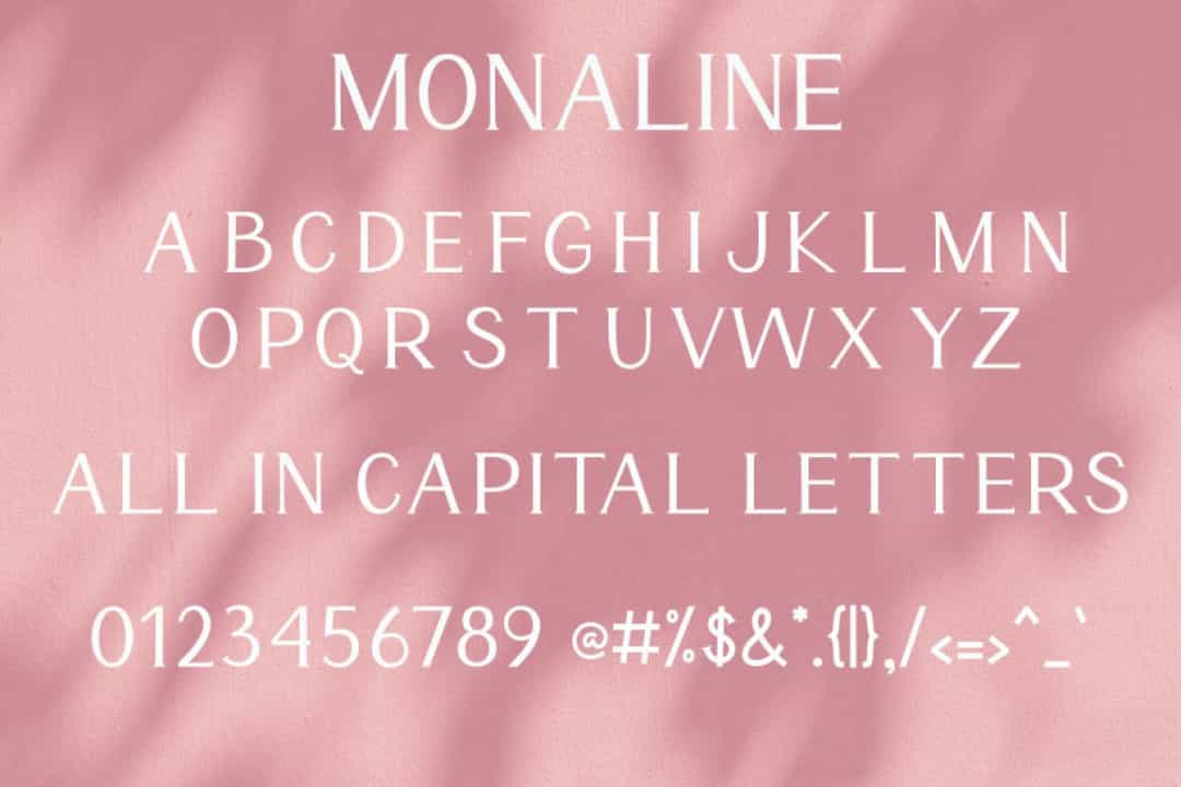 Monaline Font Image 3