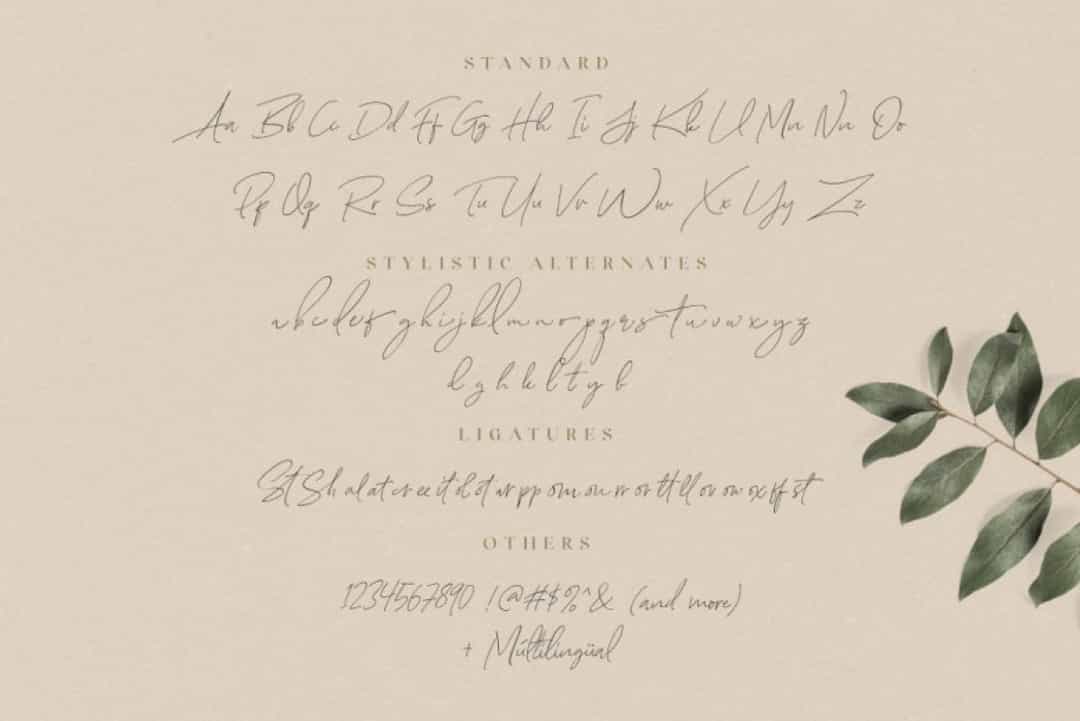 August Stories Font Image 3
