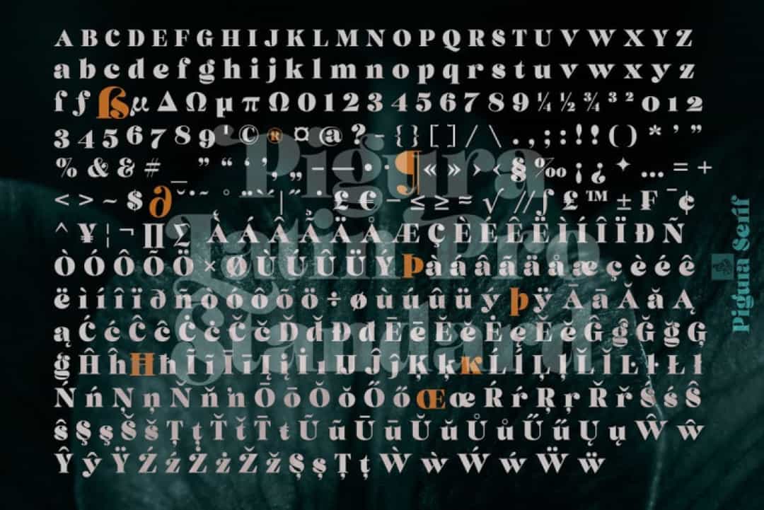Pigura Font Image 3