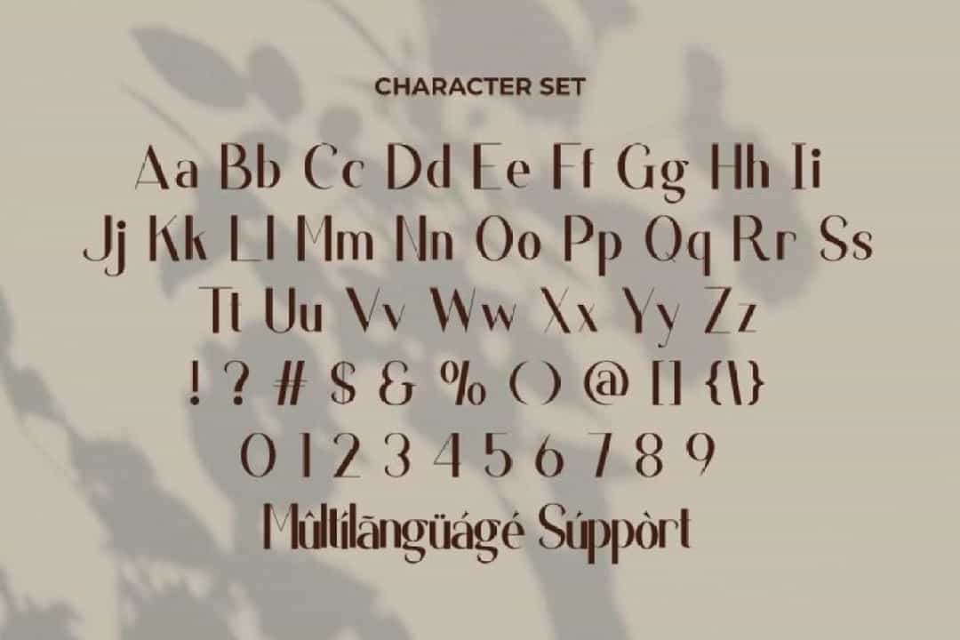 Coatesville Font Image 3
