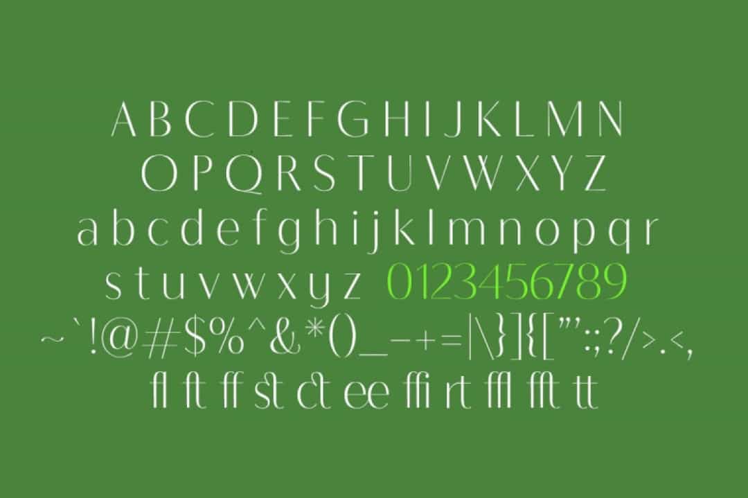 Natasha Walker Font Image 3