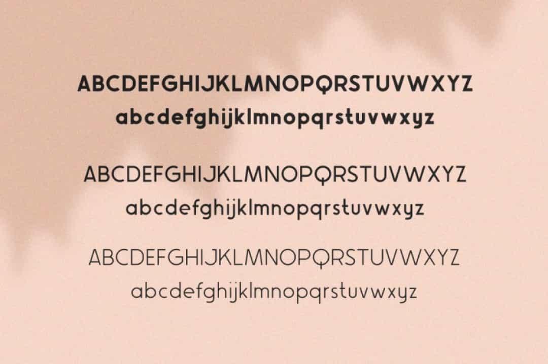 Avocado Sans Font Image 3
