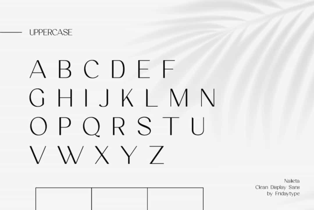 Nalieta Font Image 2
