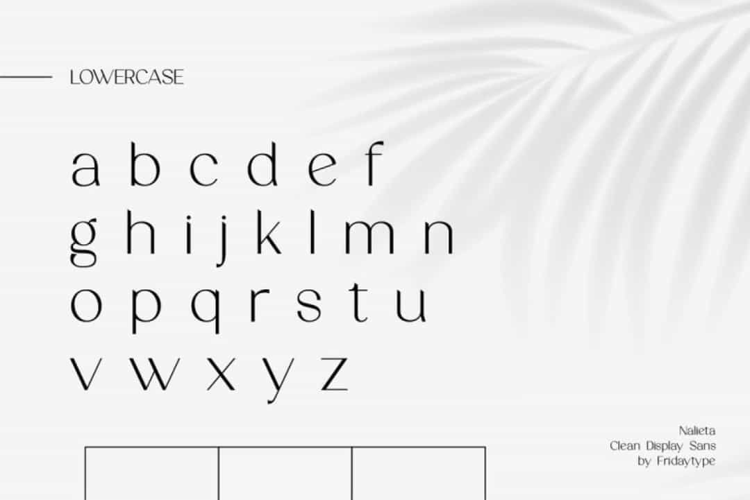 Nalieta Font Image 3