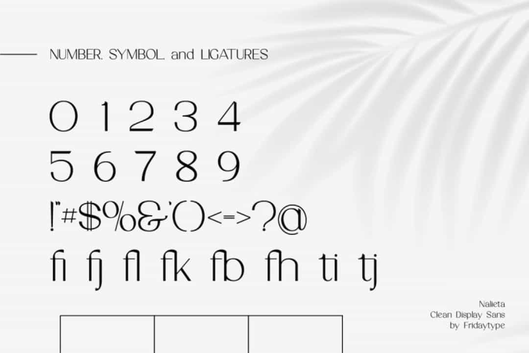 Nalieta Font Image 4