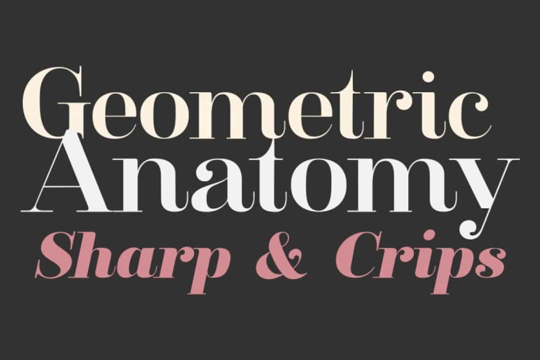 Clarize Font Family Image 2