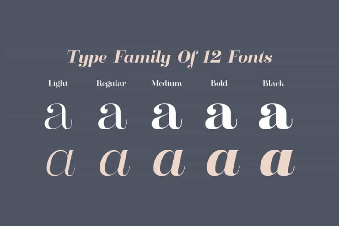 Clarize Font Family Image 3