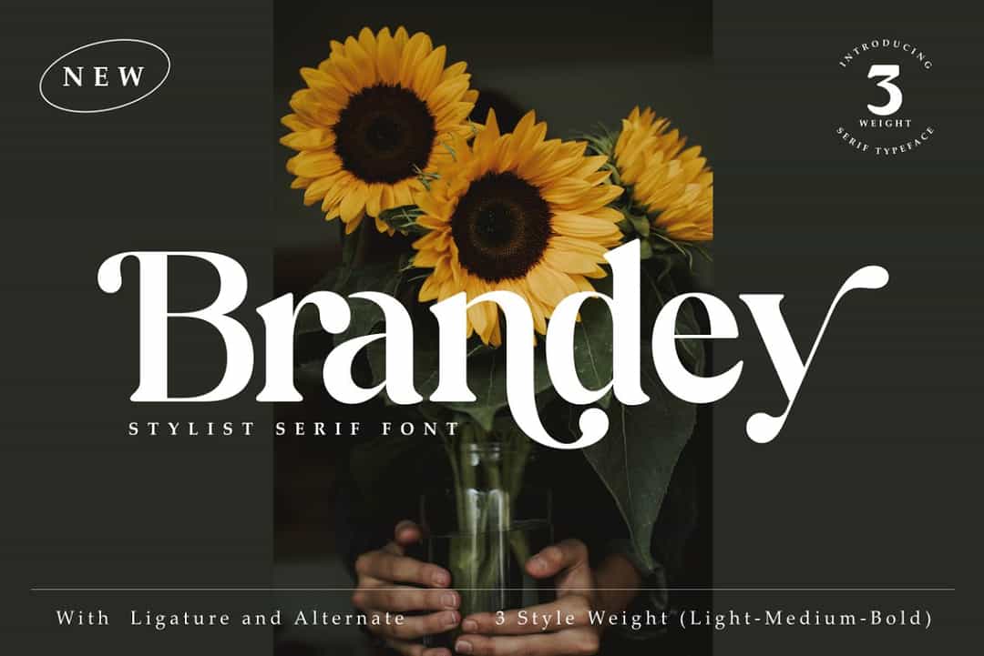 Brandey Font Image 1
