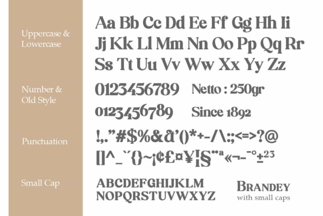 Brandey Font Image 3
