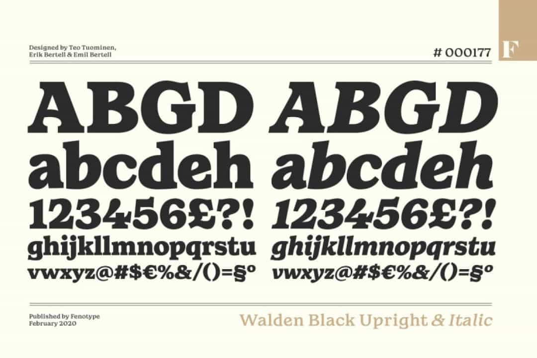 Walden Font Image 3