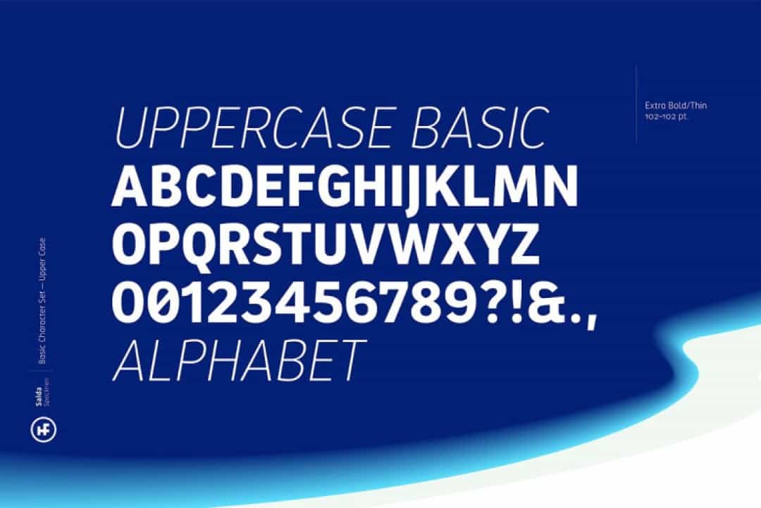 Salda Font Image 3