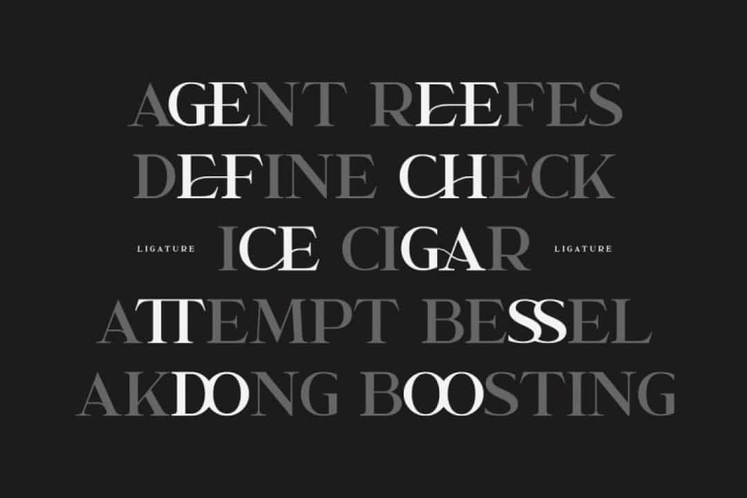 Garcedo Font Image 2