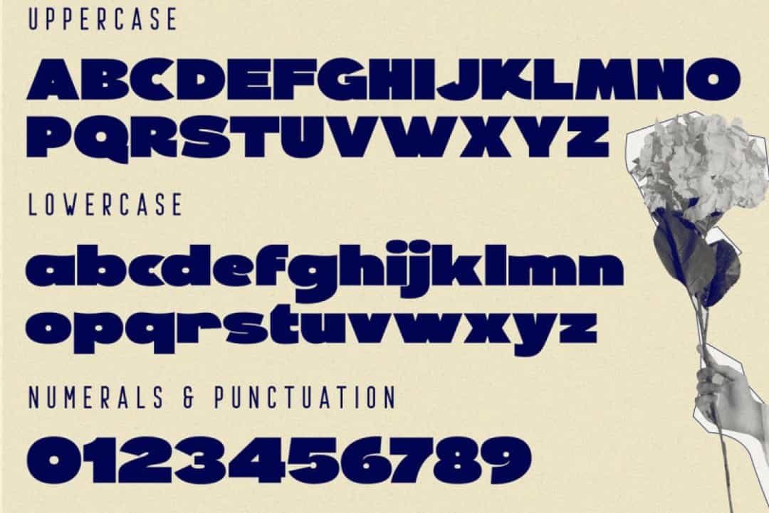 Perform Generic Font Image 3