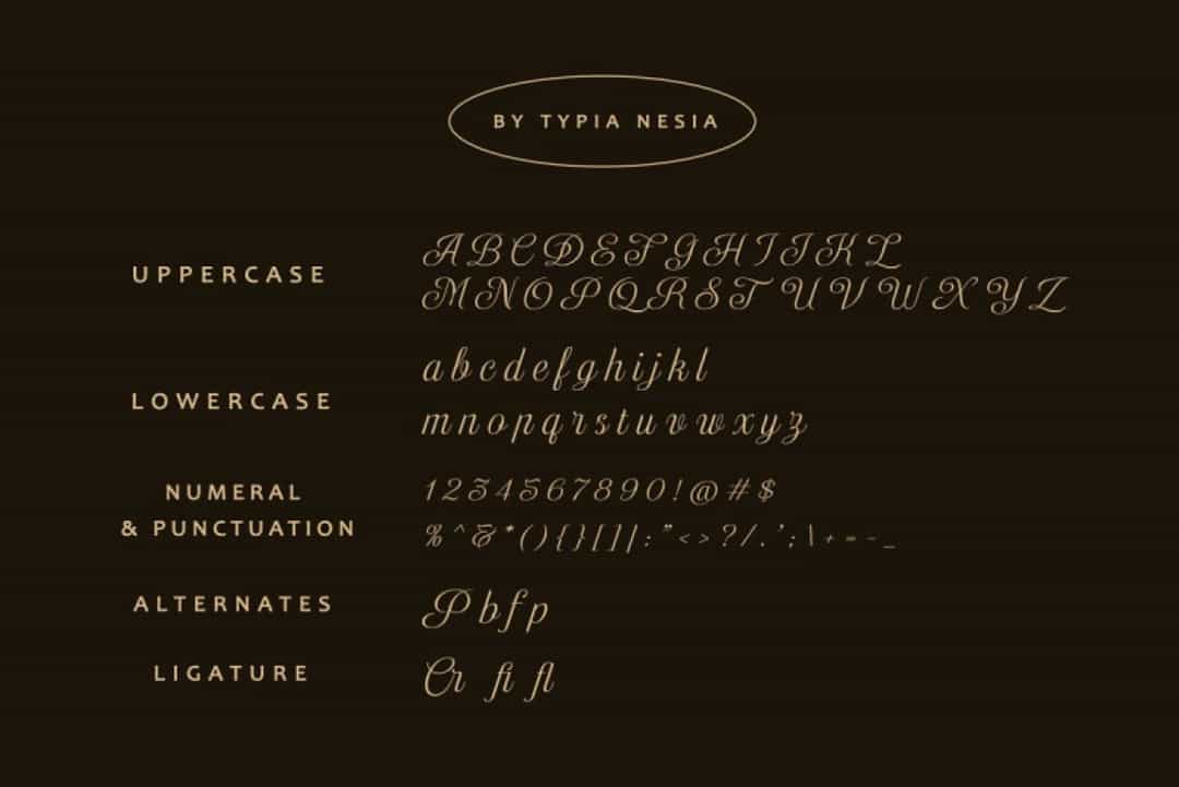 Delugia Script Font Image 3