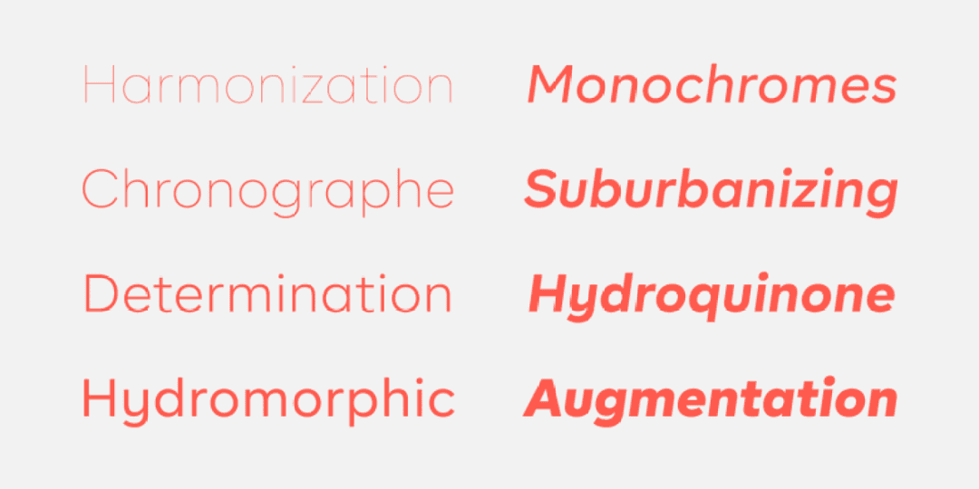 BR Firma Font Family Image 2