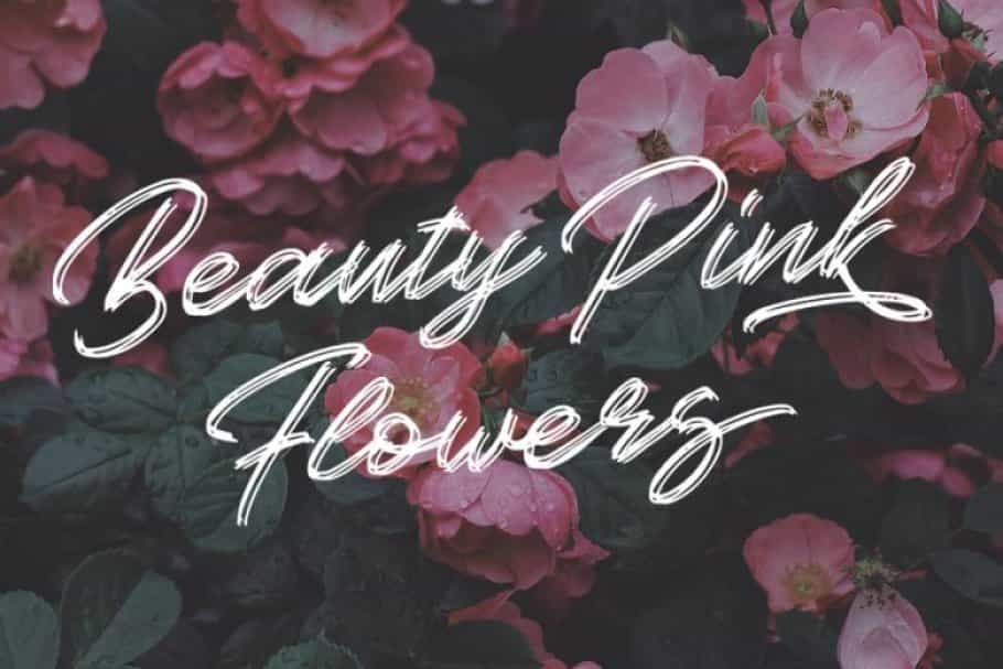 Kallisa Script Font Image 3