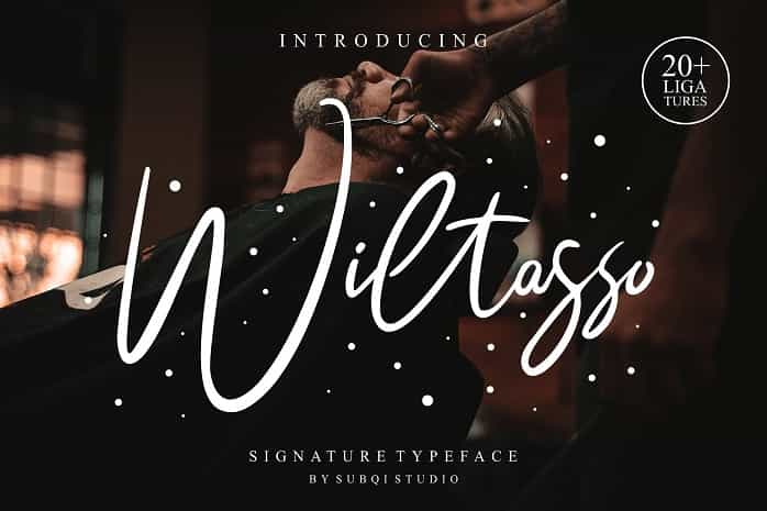 Wiltasso Signature Font Image 1