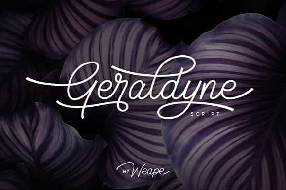 Geraldyne Script Font Image 3