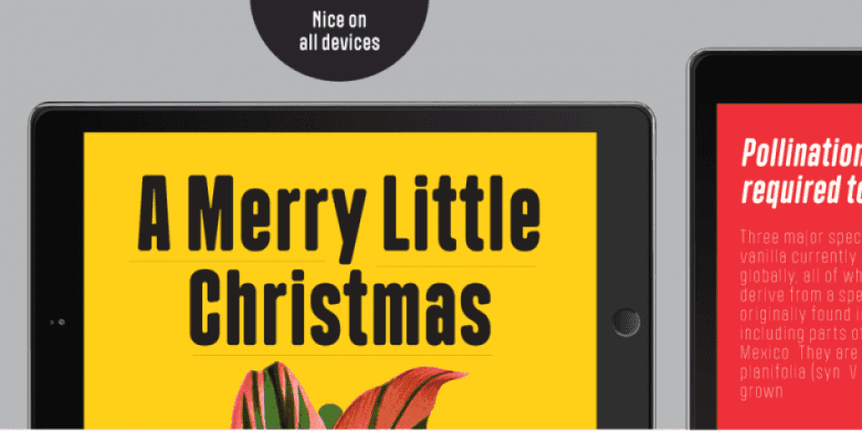 Polate Soft Font Family Image 3