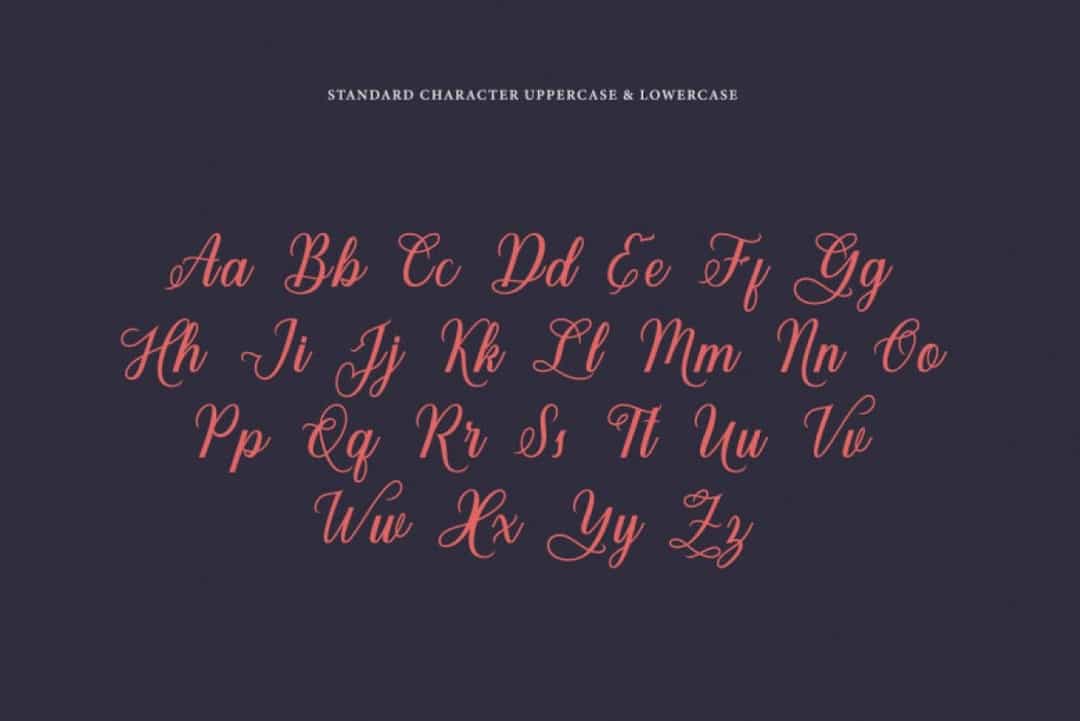 Viz Del La Muerta Font Image 2