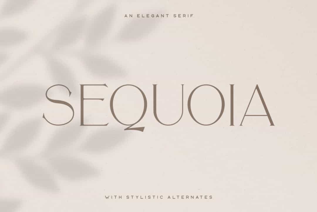 Sequoia Font Image 1