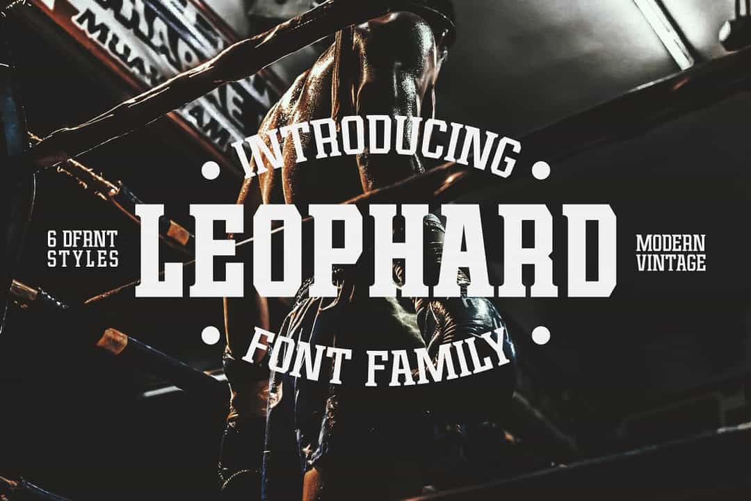 Leophard Font Family Image 1
